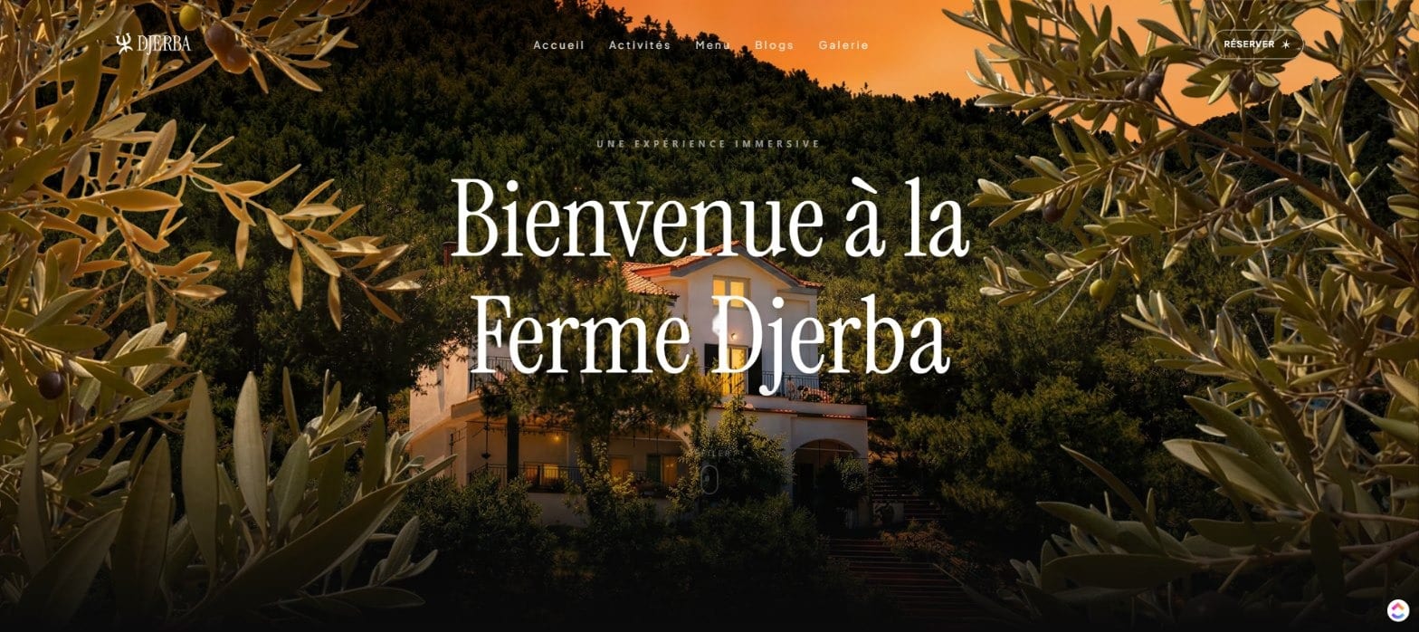 Ferme Djerba homepage hero: the farmhouse framed by olive branches at sunset
